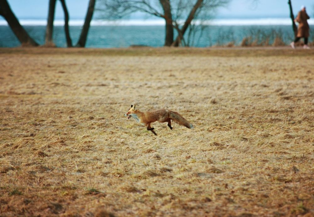Photograph by Анна Чадова