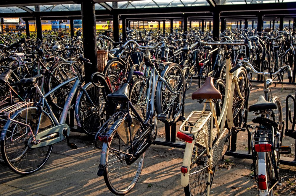 Фотография автора Chorche Prigo