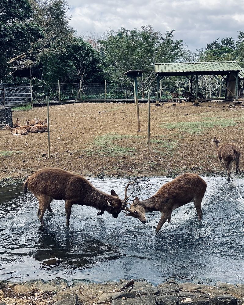Photograph by Iuliia Akhulkova