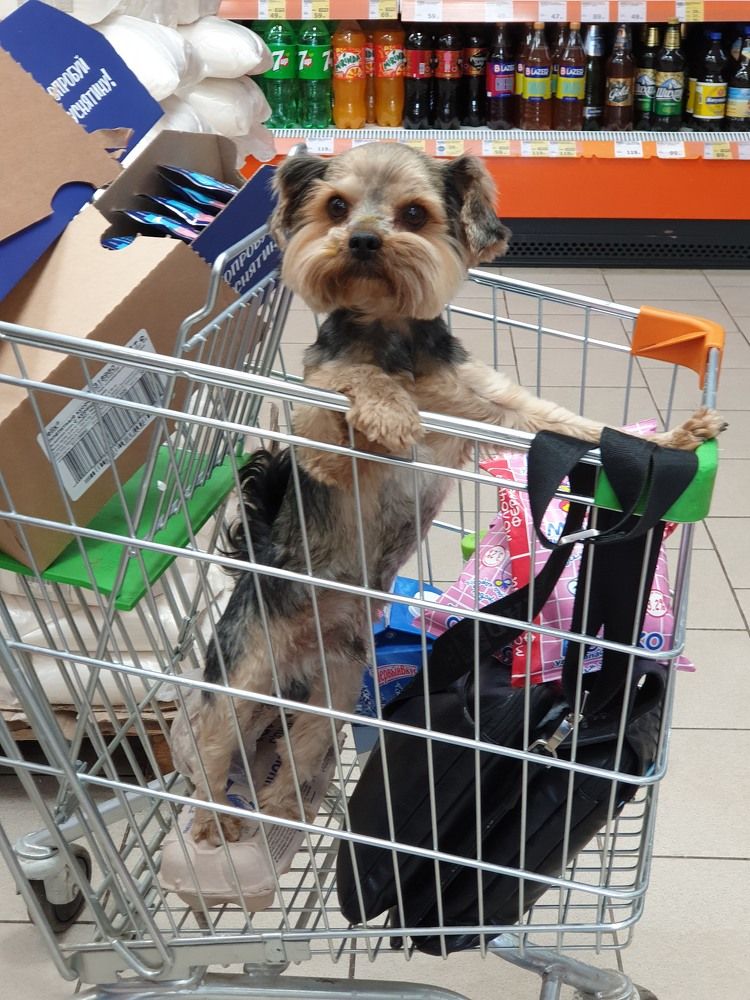 Вон тот пакетик, пожалуйста!