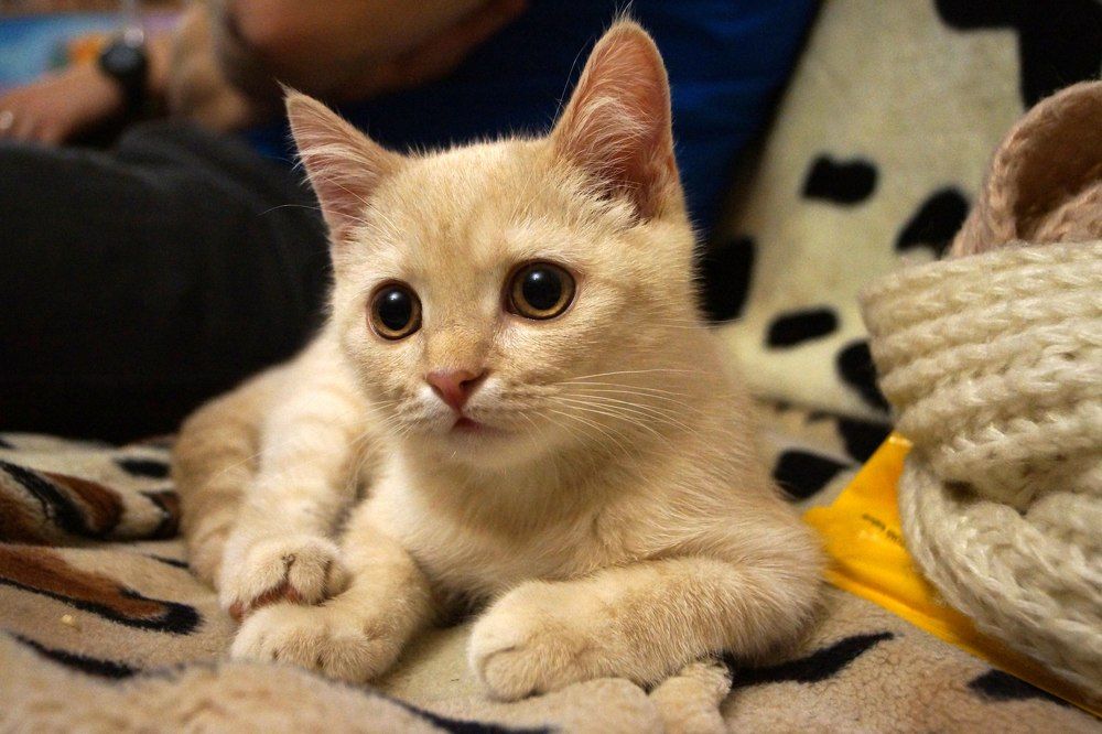 Photograph by Юлия Тюнина