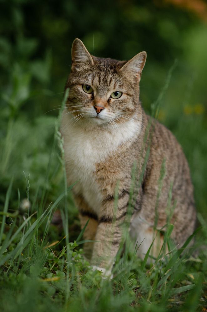 Photograph by Юлия Тюнина