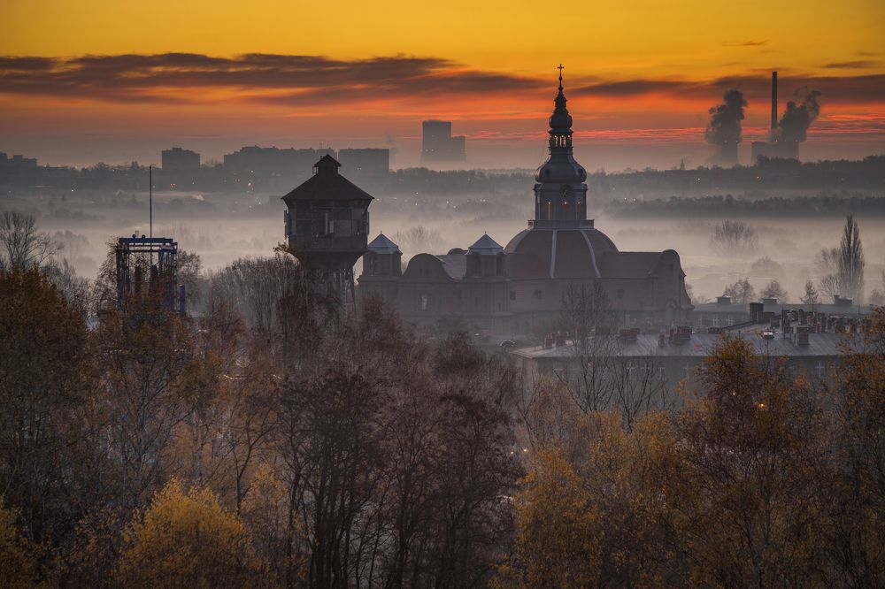 The view from my window 12.12.22