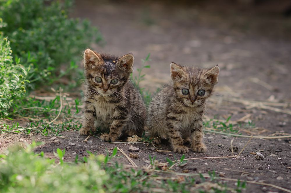 Photograph by Юлия Тюнина