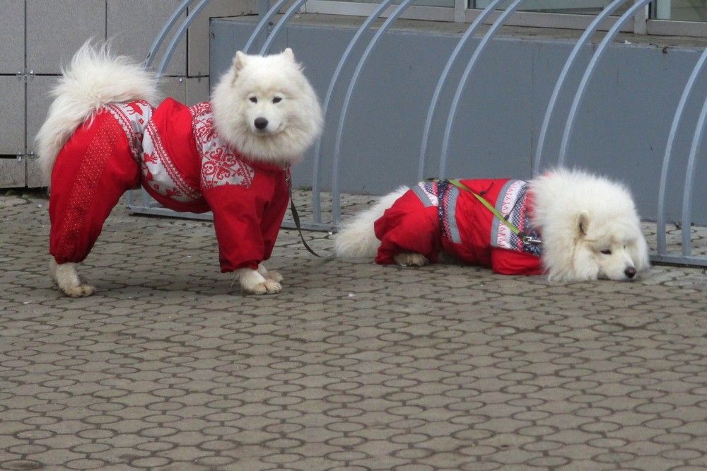 Photograph by Ольга Березовская