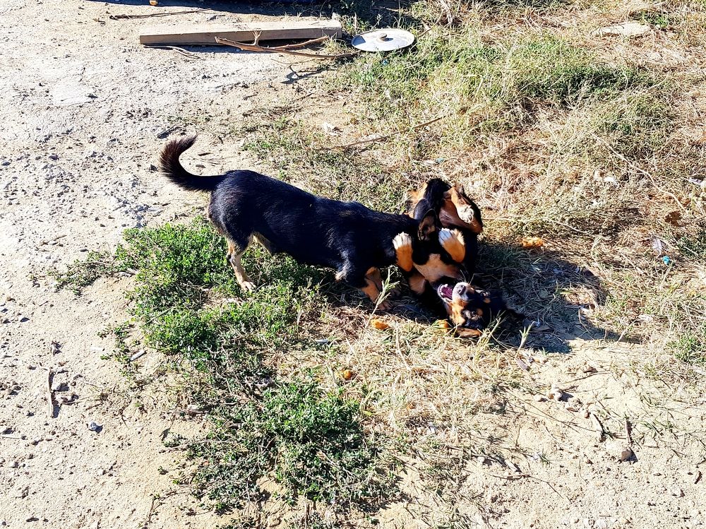 Photograph by Рафаил Манафов