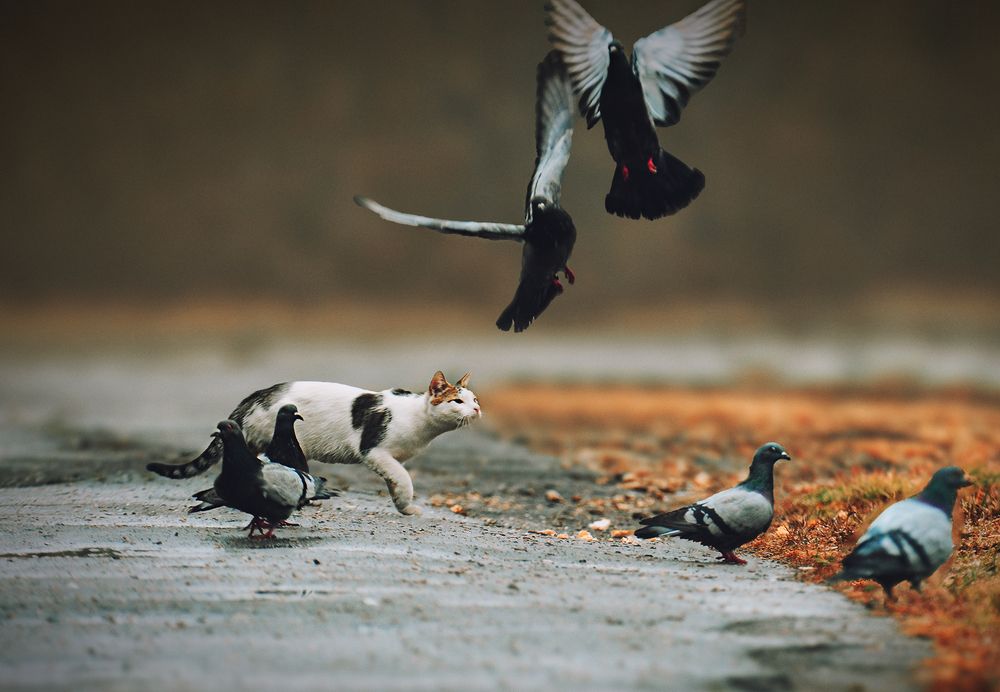 Photograph by Natalia Bolotenkova