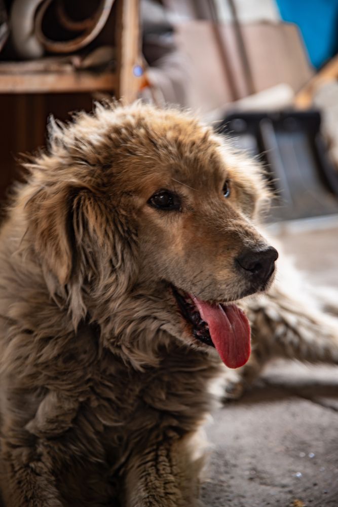 Photograph by Елена Прохорова