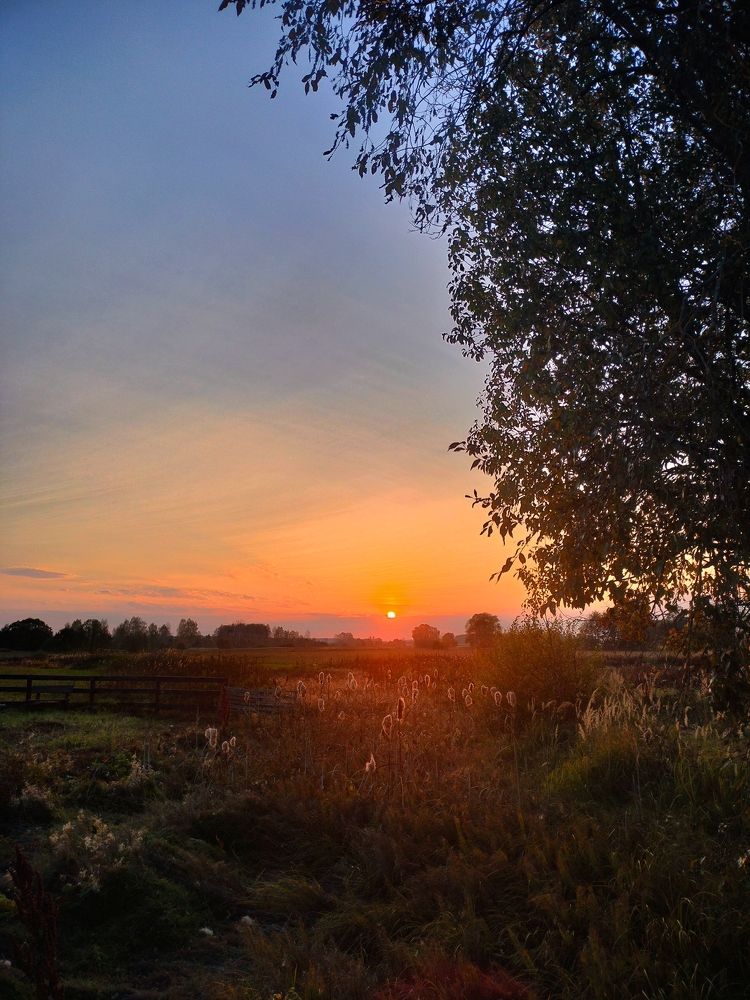 Photograph by Кристина Шацкая