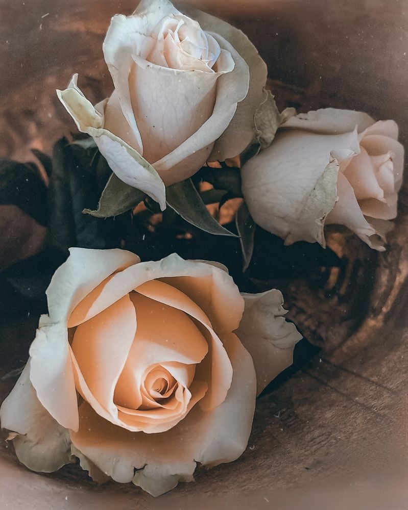 Photograph by Татьяна Желобкова