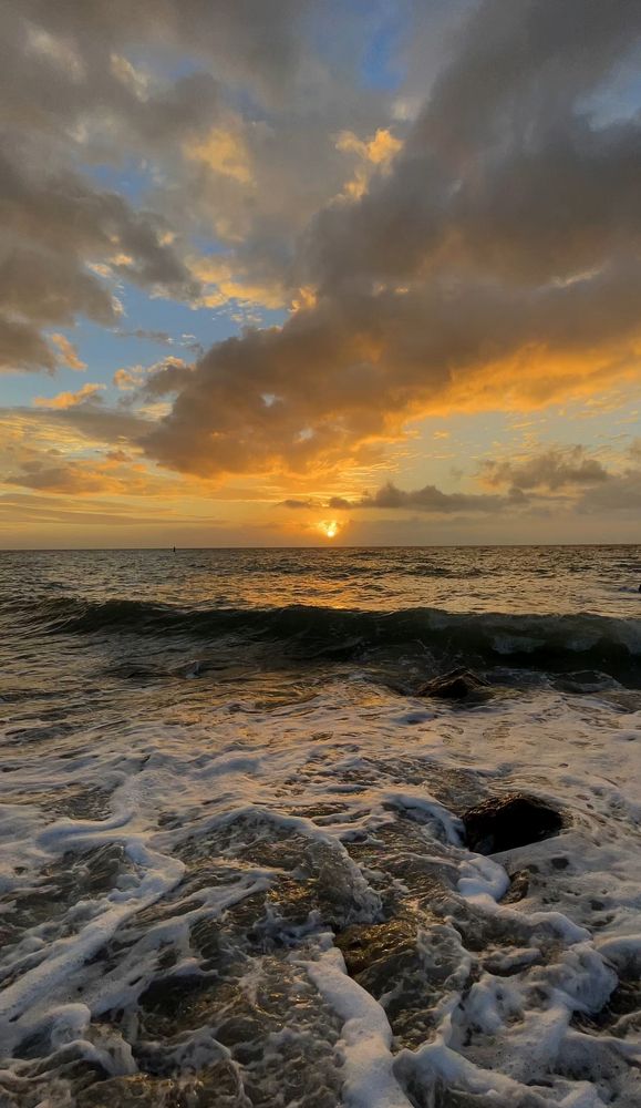 Photograph by Лиса