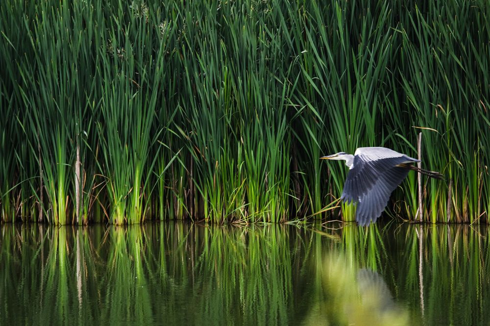Photograph by Анна Чадова
