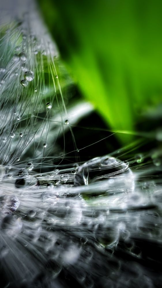 Photograph by Akshara