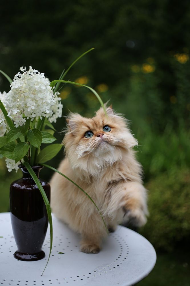 смеркалось))