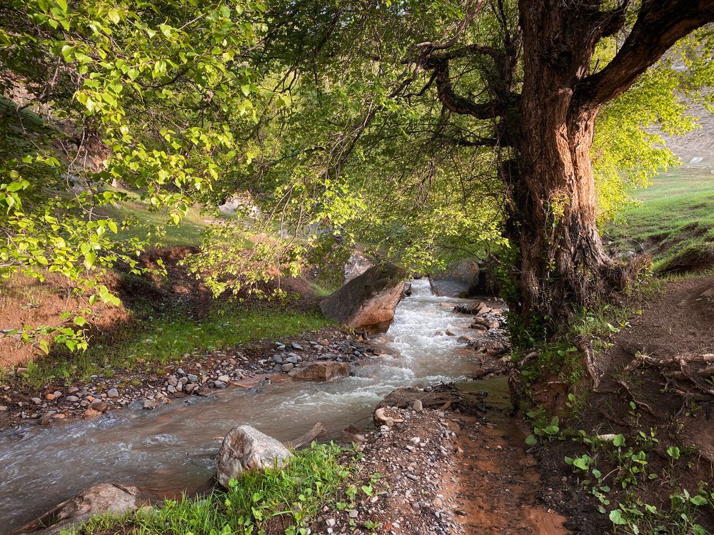 Photograph by Мозжухин Максим