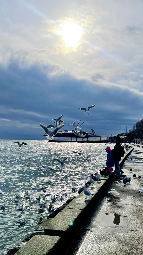 Photograph by Лиса