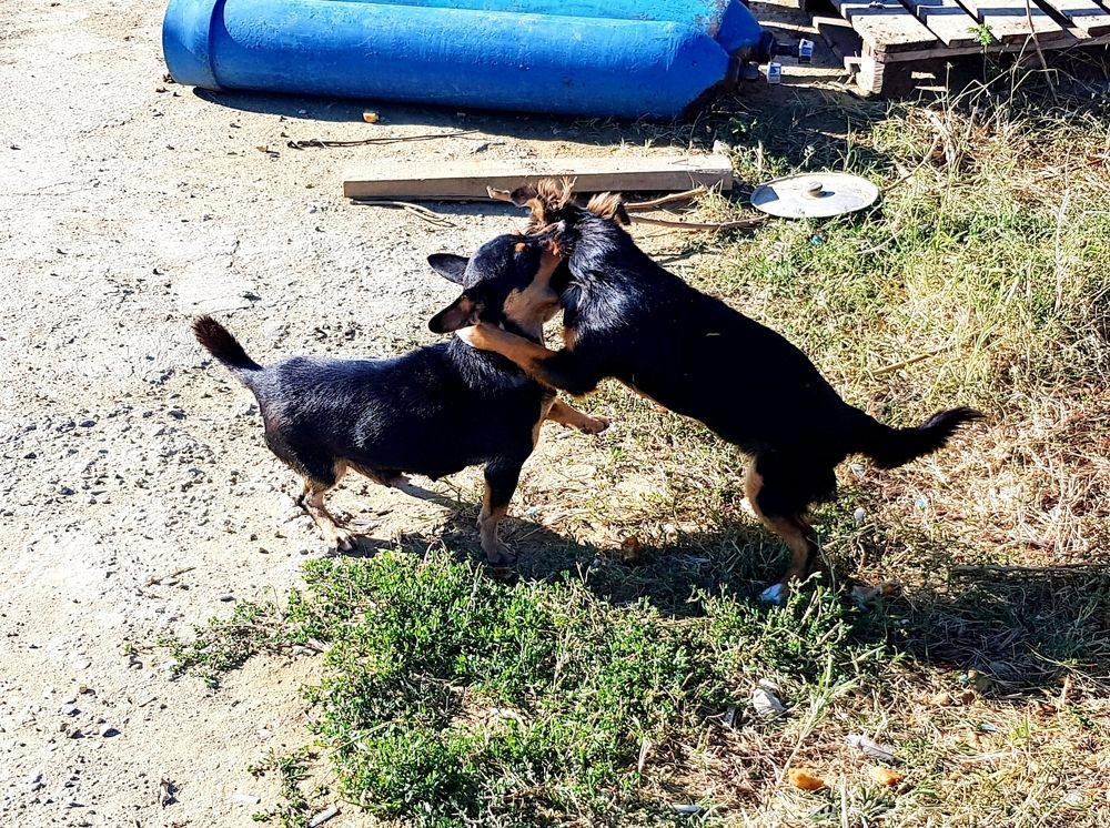 Photograph by Рафаил Манафов