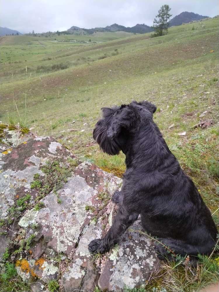 Photograph by Анна Курбатова