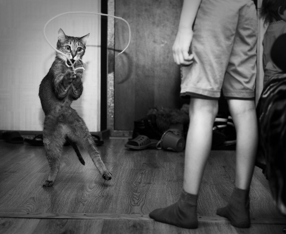 Фотография автора Наталья Новикова