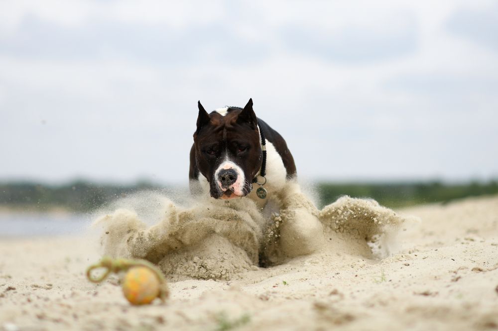 Photograph by Алёна Ковалёва