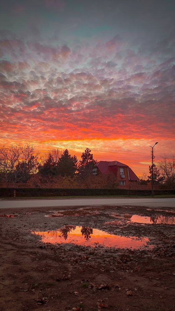Фотография автора Анастасия Мамаева