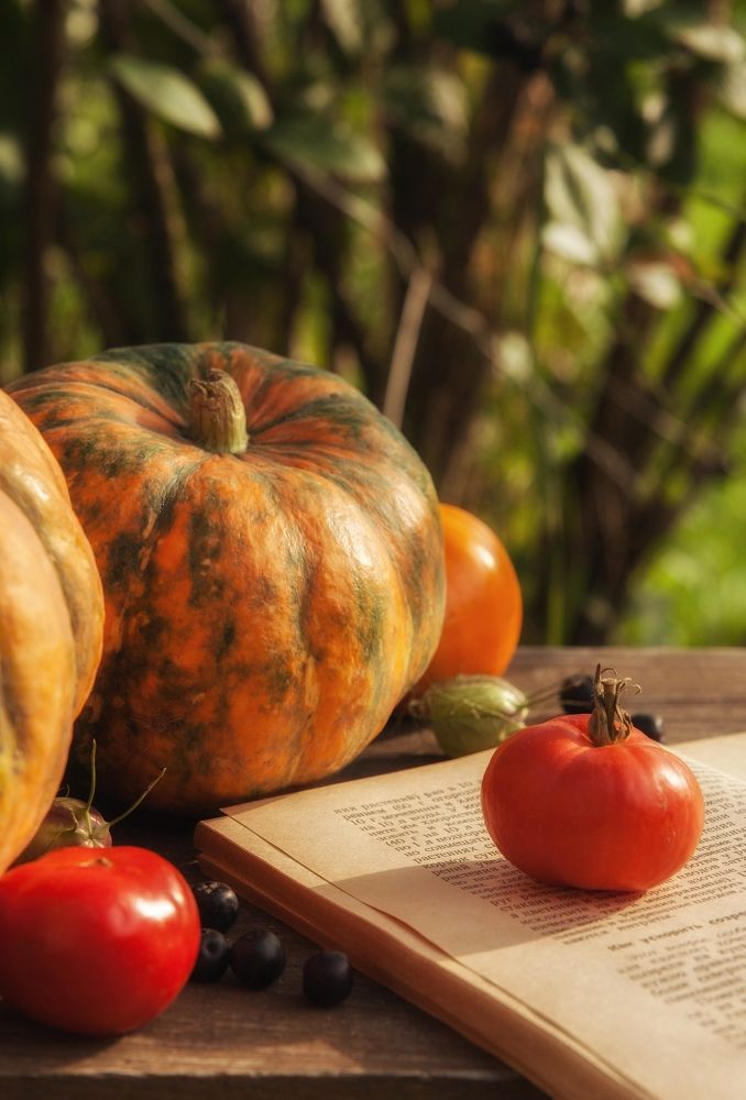 Photograph by Кира Орлова