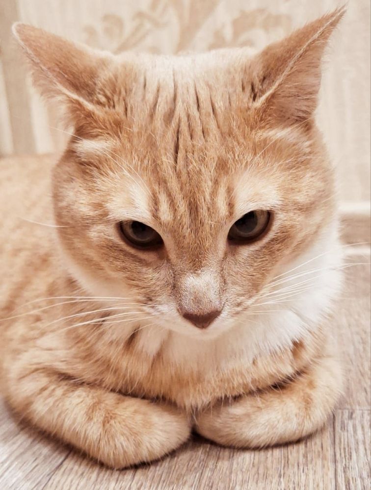 Photograph by Елена Ляпина