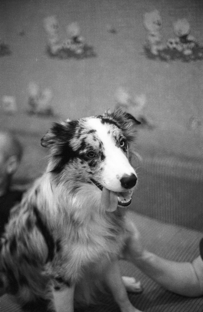 Photo #9821127