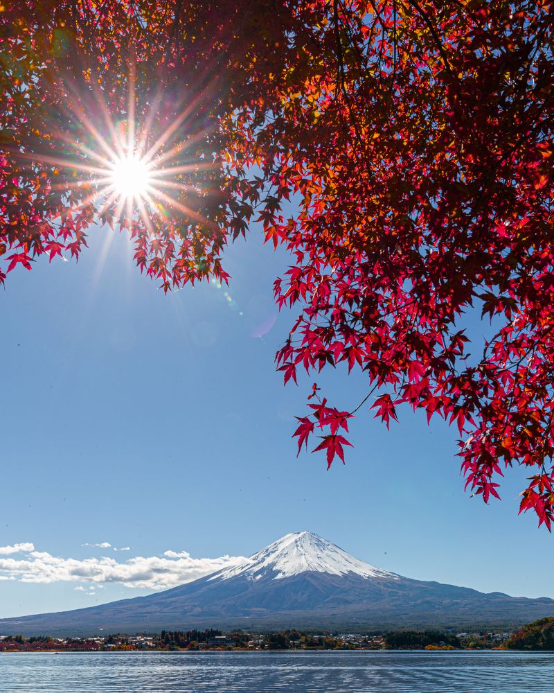 Photograph by Matteo Martin