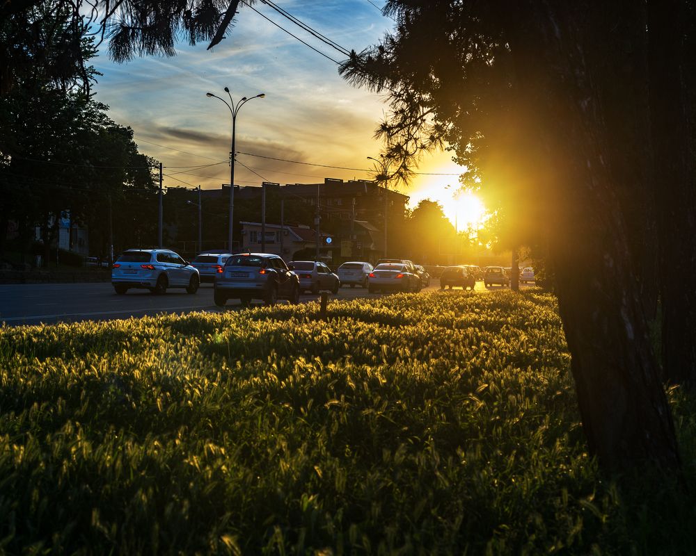 Photograph by Юрий Душко