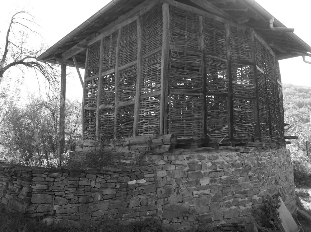 Photograph by Георги Колев