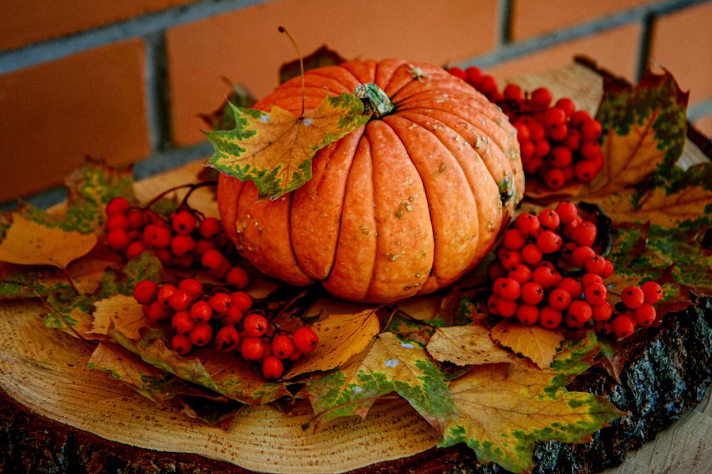 Photograph by Алена Ходатович