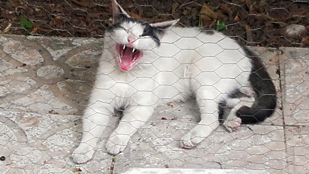 Photograph by Sodabe Arabzade