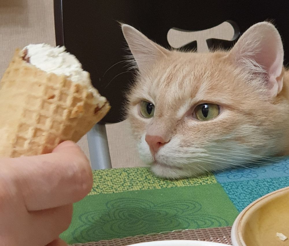 Я - Карлсон!