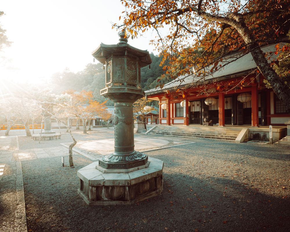 Photograph by Matteo Martin