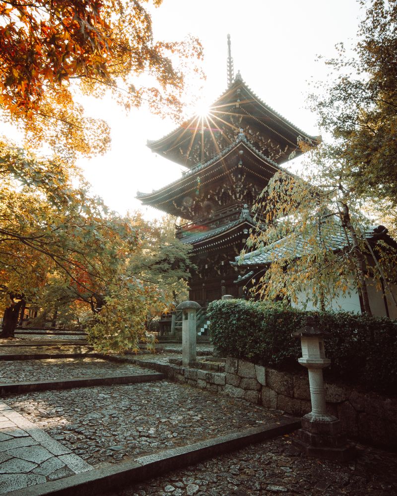 Photograph by Matteo Martin