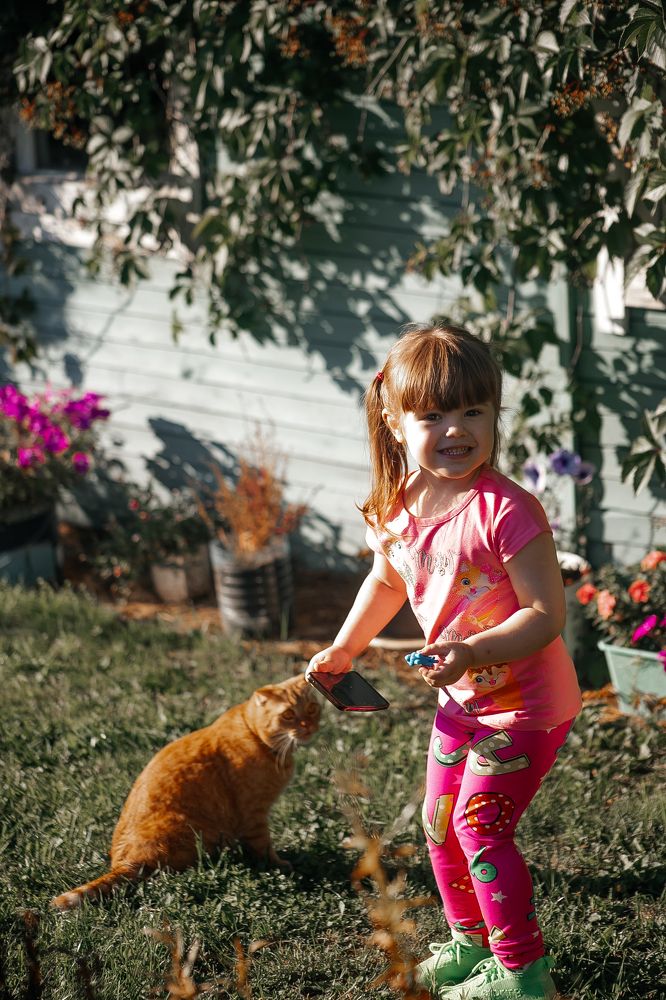 -мам смотри! какой рыжий кот ?