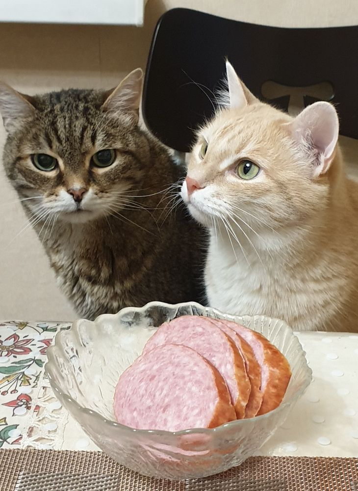 Photograph by Елена