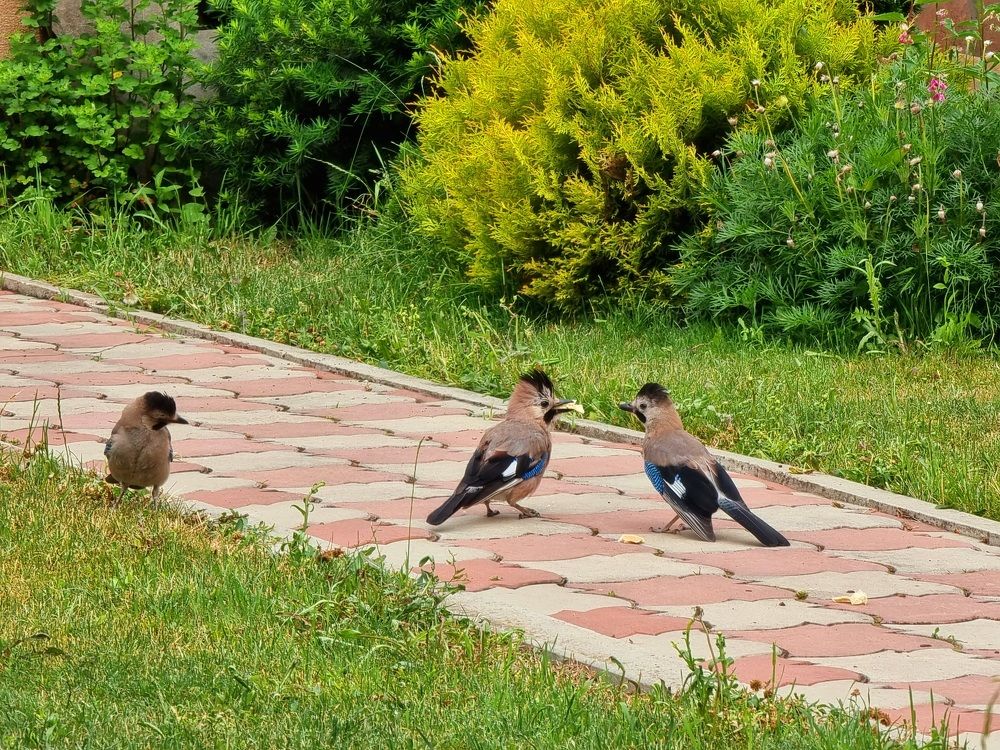 Photograph by Ирина Андриенко