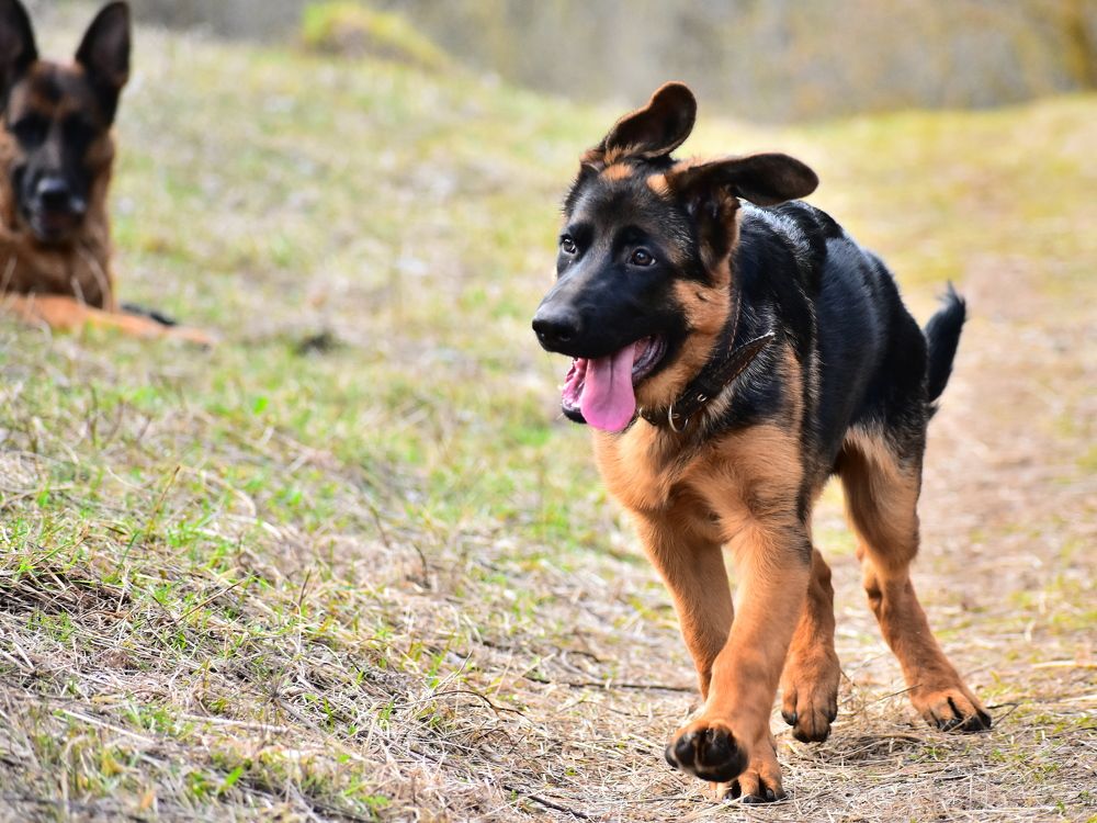 Photograph by Николай Абакумов