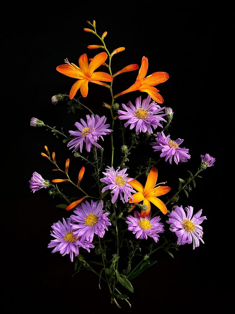 Летний комплимент