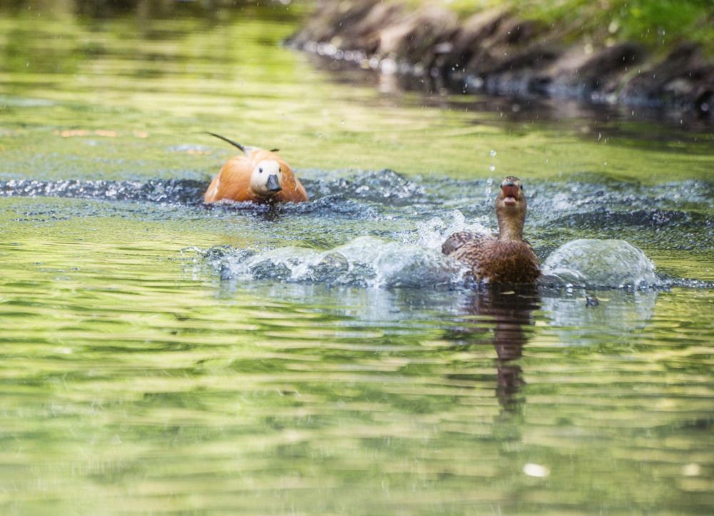 Photograph by Дмитрий Жучков