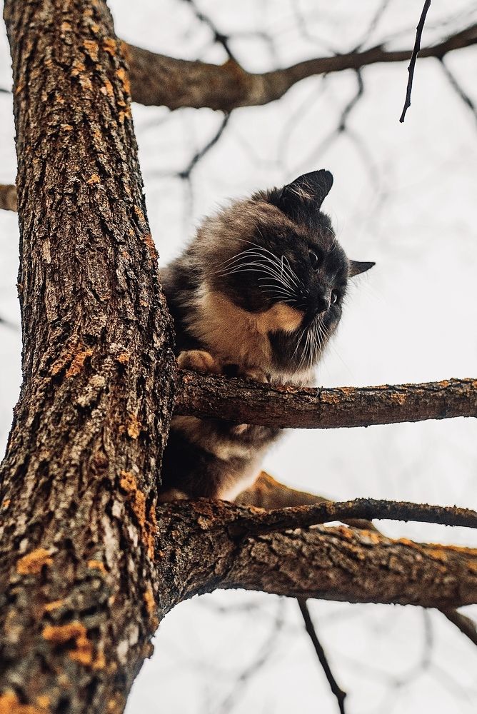 Photograph by Ольга Гаврилова