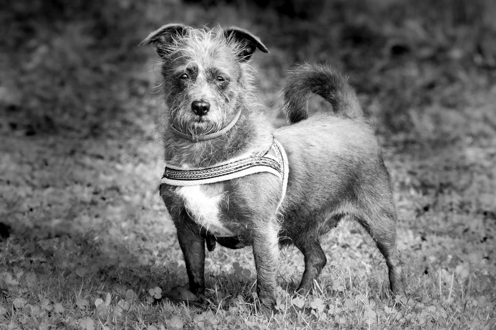 Photograph by Francisco José López Fernández