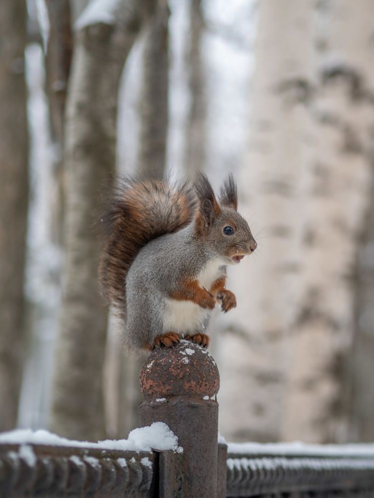 Photograph by Шейко Анна