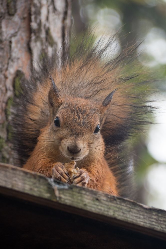 Photograph by Шейко Анна