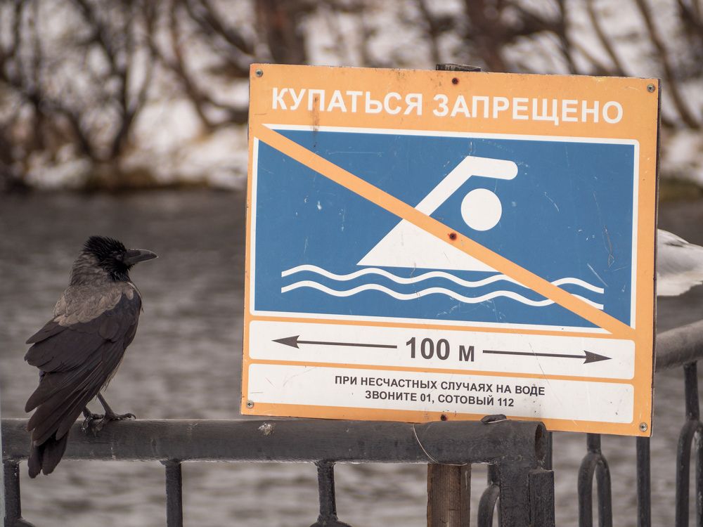 Photograph by Шейко Анна