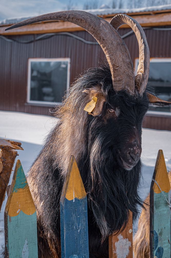 Photograph by Шейко Анна