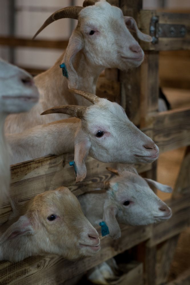 Photograph by Шейко Анна