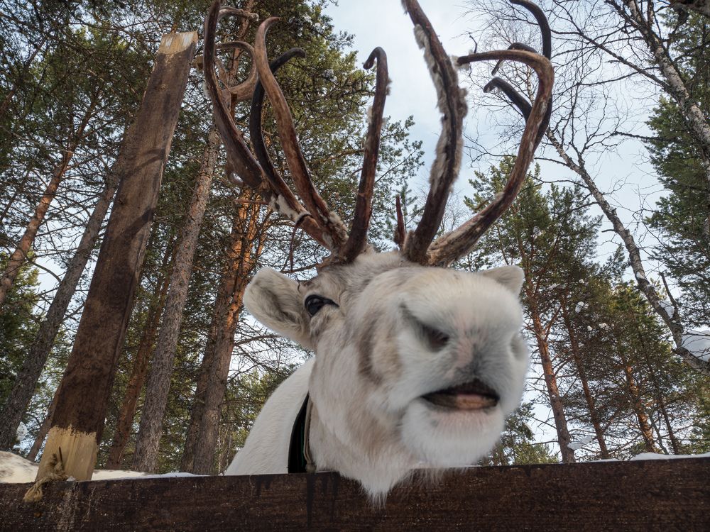 Photograph by Шейко Анна